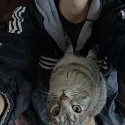 Timmu